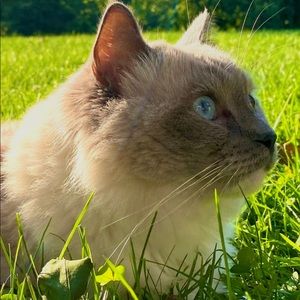 Meet your Posher, Jeannette